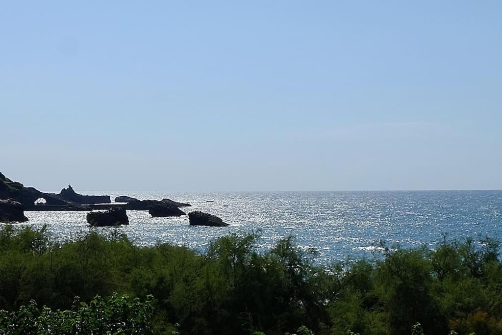 Appartement Le Sahel - Vue Imprenable Sur L'Ocean 비아히쯔 외부 사진
